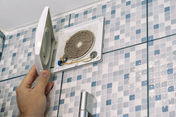 Best Air Duct Mold Removal  in Auxvasse, MO
