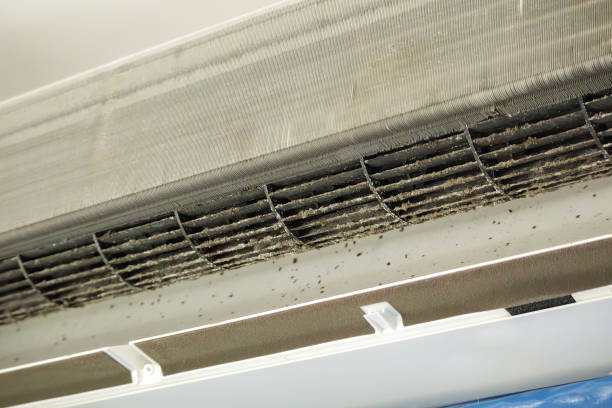 Best Air Duct Sanitizing Services  in Auxvasse, MO